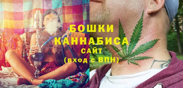 хмурый Рославль