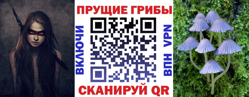 Псилоцибиновые грибы Psilocybine cubensis  мориарти какой сайт  Углич 